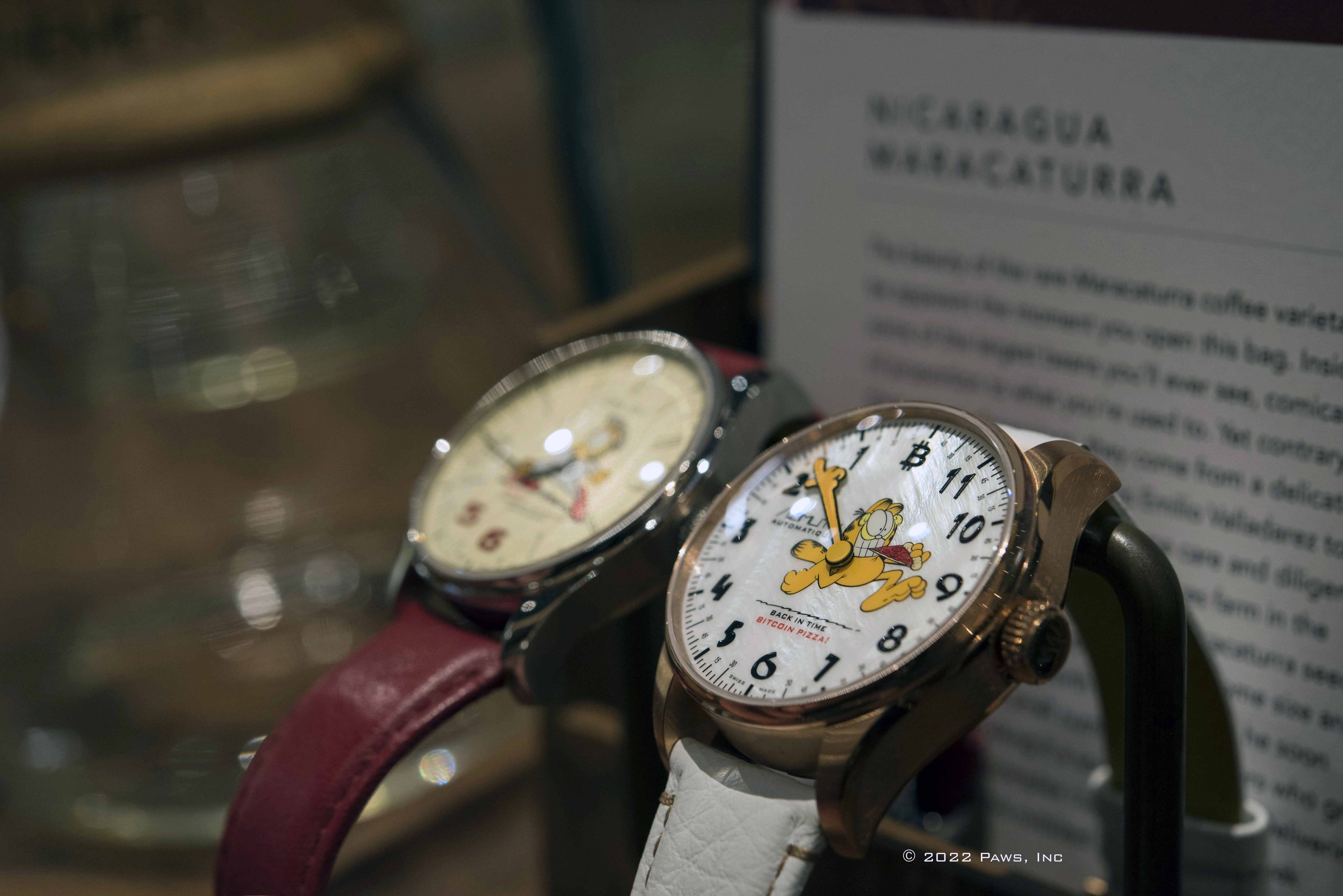 AZIMUTH GARFIELD BACK IN TIME - Red Army Watches