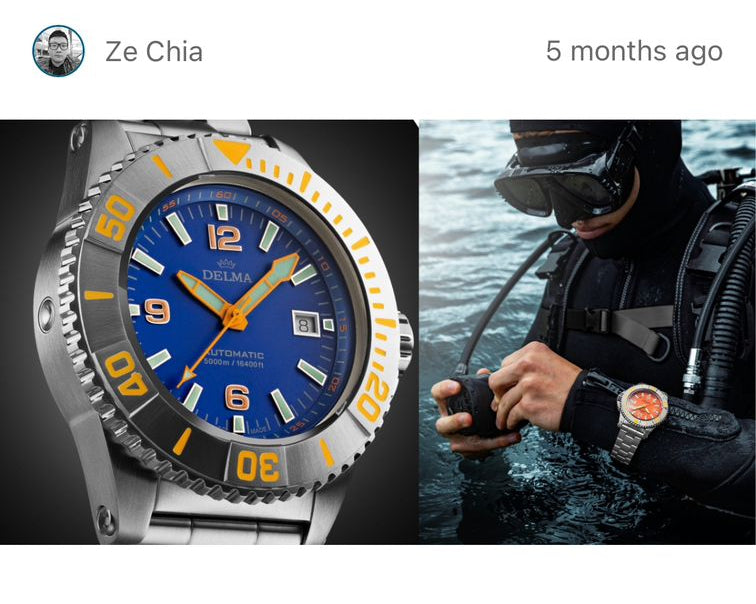 Delma - Blue Shark Featured on Lifeofze.com In Jan 2024
