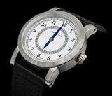 SCHAUMBURG WATCH Convert V1