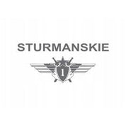 STURMANSKIE Mars 2 Yellow NH35/9035976 - Red Army Watches