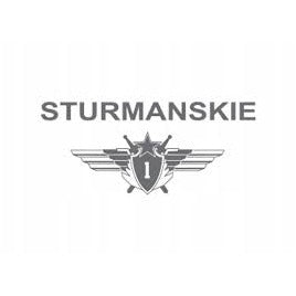 STURMANSKIE Mars 2 Yellow NH35/9035976 - Red Army Watches
